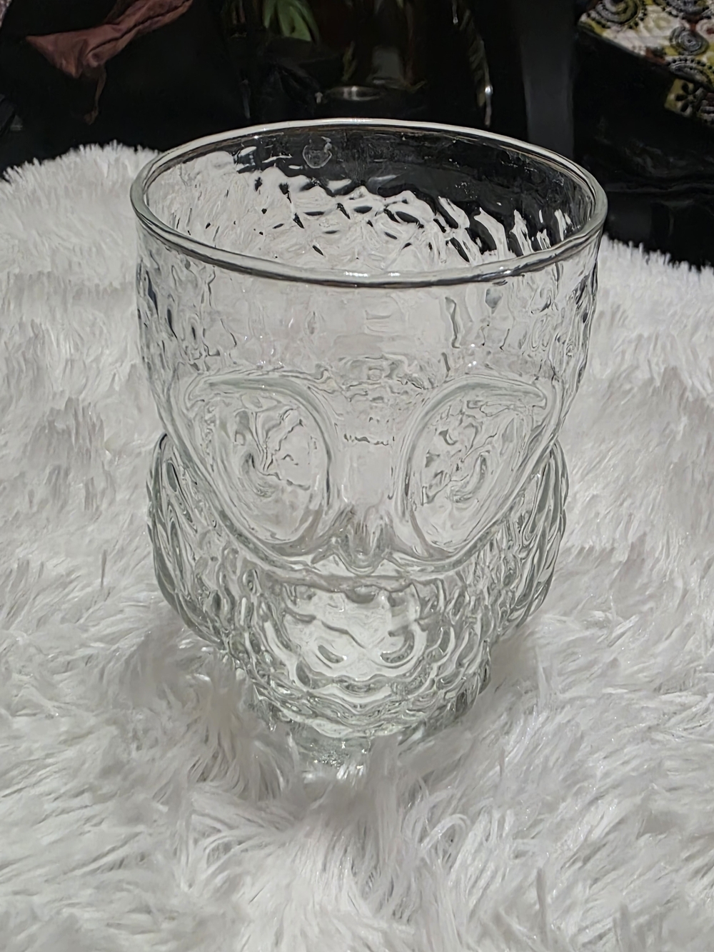 Libbey Clear Owl Tumbler Glass